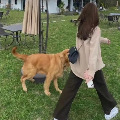 如果她的旗帜被折断了